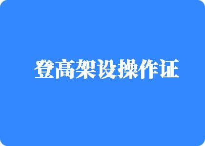 wwww操大逼视频骚逼登高架设操作证